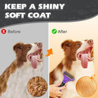 3PCS Pet Grooming Rake & Metal Comb & Flea Comb - Image 6
