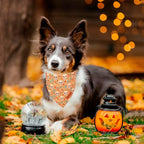 PTDECOR Halloween Dog Bandana, Skeleton Pumpkin Reversible Holiday Dog Scarf - Image 2