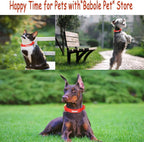Nylon Dog Collar - Image 5