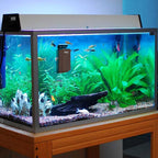 hygger Aquarium Strong Magnetic Cleaner Algae Magnet Cleaning Tool - Image 4