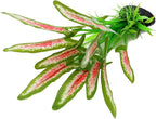 Silk Aquarium Plants for Betta Fish Tank - Image 3