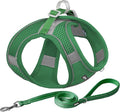 AIITLE Easy Walk Dog Harness and Leash Set by AIITLE-FORPETSBETTERLIFE