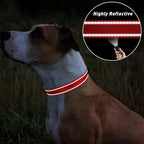 TagME Reflective Nylon Dog Collars, Adjustable Classic Pet Collar - Image 5