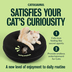 Cattasaurus Peekaboo Cat Cave Donut - Image 5