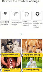 Cute Pet Party Hat for Dogs&Cats - Image 7