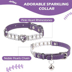 EXPAWLORER Cat Collar Leather - Image 2