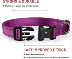Reflective Dog Collar with Buckle Adjustable Safety Nylon Collars - Image 2
