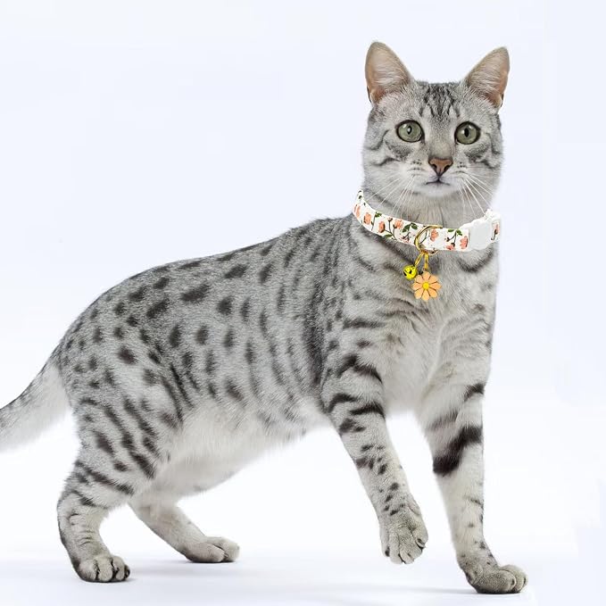 2 Pack Cotton Breakaway Cat Collars Set - Image 5