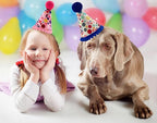 Christmas Pet Party Jazz Hat and Blingbling Bow Tie Breakaway Collar Set - Image 4