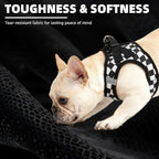 PUPTECK Adjustable Dog Harness Collar and Leash Set Step in No Pull Pet Harness - Image 5