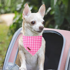 Summer Dog Bandana, UP URARA PUP Pink Bandana - Image 6