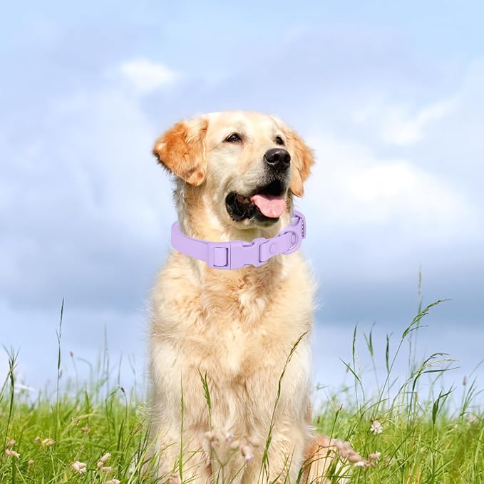 Waterproof Dog Collar Soft Rubber Dog Collar - Image 2