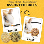 SunGrow Assorted Rabbit & Cat Chew Balls, Teething Activity Toy - Image 4