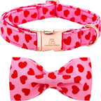 Lionheart Glory Valentine's Day Dog Collar by LionheartGlory