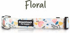 Downtown Pet Supply - Image 2