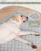 Orthopedic Dog Beds for Small Dogs Waterproof - Image 3