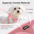 PetiFine Step in Small Dog Harness and Leash Set, Breathable All Weather Air - Image 2