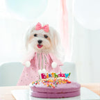 KOUPA Pet Wedding Costume for Cat Small Dogs, Sparkly Cat Clothes Tulle Cloak - Image 8