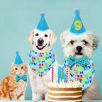 PET SHOW 3Pcs Blue Small Dog Birthday Bandana Set - Image 6