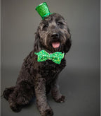 Lionheart glory Dog Bow Collar St. Patrick's Day Dog Collar - Image 4