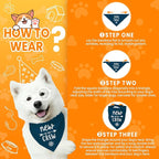 New to The Crew Dog Bandana New Puppy Announcement Gender Reveal Gift - Image 4