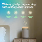 BLUEAIR Purifier for Bedroom - Image 5