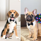 Segarty Black Bow Tie Dog Collar - Image 5