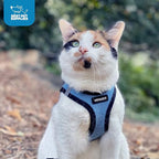 Best Pet Supplies Voyager Step-in Air Harness - Image 9