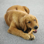 Tikaton Dog Chew Toys for Aggressive Chewers, Chicken Flavor Durable Dog - Image 7