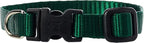LupinePet Basics 1/2" Green 6-9" Adjustable Collar by LupinePet