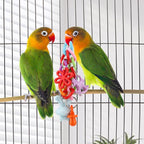Hypeety Bird Parrot Foot Toy Chewing Swing Bite Toy Plastic Parrot Toys Bird - Image 7