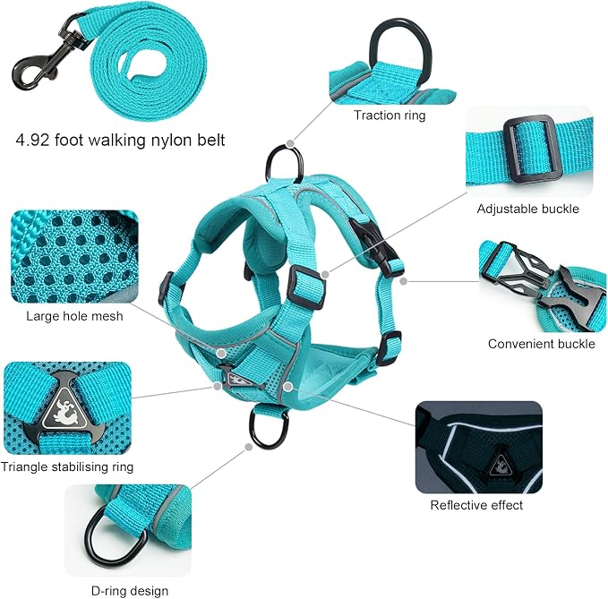 Large Cat Harness and Leash Set - Image 2