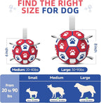 Diman Dog Balls, Dog Soccer Ball - Image 2