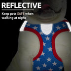 PUPTECK Adjustable Dog Harness Collar and Leash Set Step in No Pull Pet Harness - Image 5
