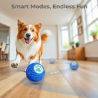 Lovkid Smart Interactive Dog Toys - Image 4