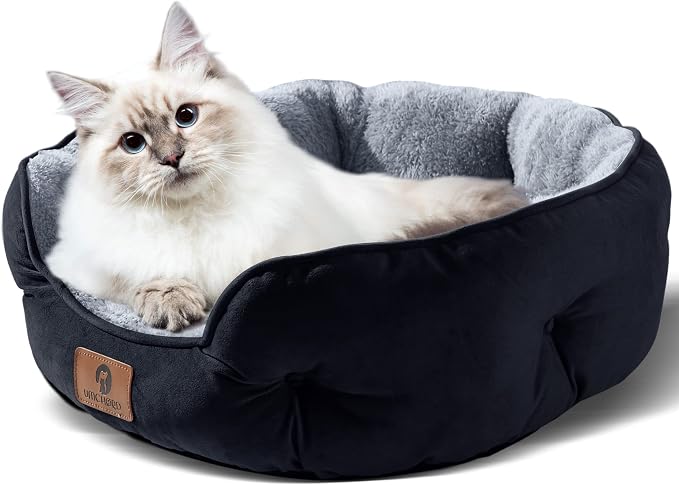 Asvin Small Dog Bed for Small Dogs, Cat Beds for Indoor Cats, Pet Bed for Puppy - Image 2