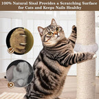 Tall Cat Scratching Post, 33 Inches, Interactive Furniture Toys - Image 7