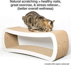PetFusion Jumbo Cat Scratcher Lounge, and Hide100% Recyclable Cardboard Cat - Image 3