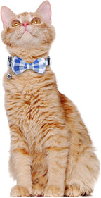 2 Pack/Set Cat Collar Breakaway - Image 5