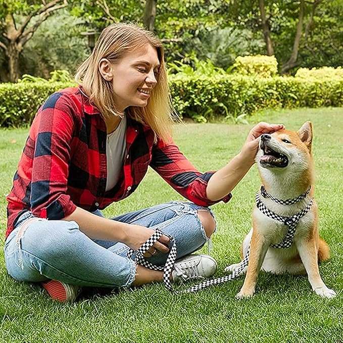 Roses&Poetry Dog Collar with Colourful Patterns, Adjustable Durable Puppy - Image 6