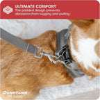 Downtown Pet Supply Step in Dog Harness No Pull, Light Gray - Image 6