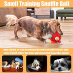 Dog Snuffle Ball-Interactive Puzzle Dog Toys Encourage Natural Foraging Skills - Image 3