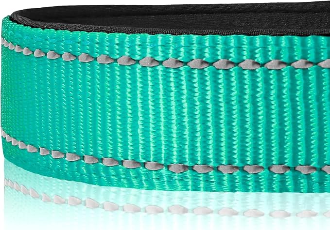 Joytale Reflective Dog Collar, Soft Neoprene Padded, Metal D-Ring, Nylon Pet - Image 4