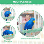 2PCS Bird Beak Grinding Stone, Anti-Slip Parrot Nail Trimming Stick, Parrot - Image 6
