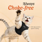 Dooradar Cat Harness and Leash Set, Escape Proof Safe Adjustable Kitten Vest - Image 2
