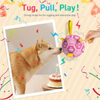 QDAN Dog Birthday Toys, Squeaky Dogs Toys, Dog Soccer Ball - Image 3