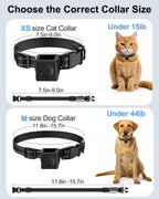 Dog Camera Collar 1080P HD Video Recording Pet POV Cam, NO WiFi NO APP - Image 7
