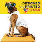Apparelyn Custom Dog Shirt Design – Dog T-Shirt - Image 7