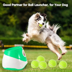 6 Pack Mini Tennis Balls for Pet Playing Fecth, 2 inch Dogs Training Tennis - Image 3