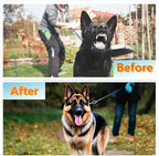 Dog Prong Collar - Image 6